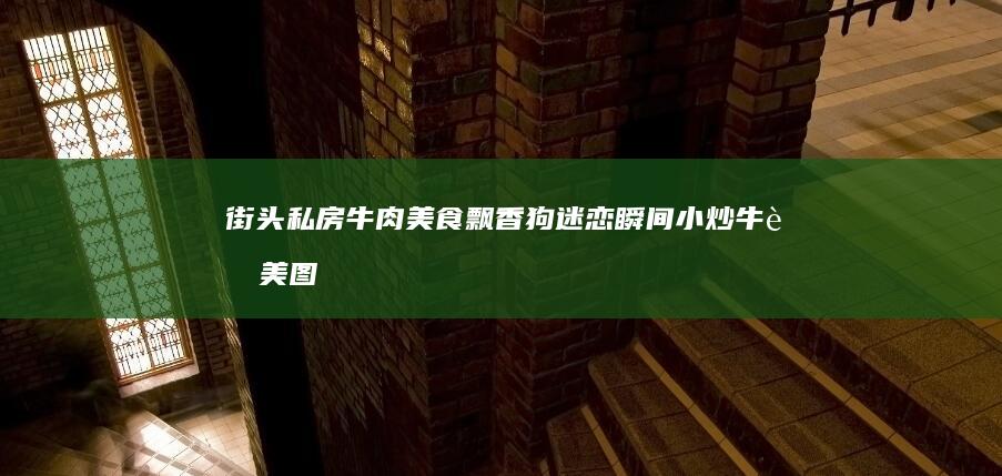 街头私房牛肉美食飘香狗迷恋瞬间：小炒牛肉美图欣赏